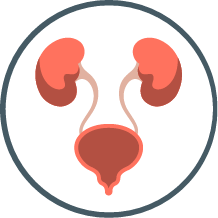 Obstetrics & Gynaecology