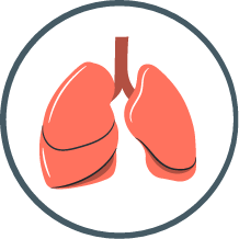 Pulmonology
